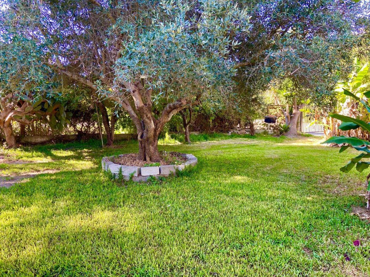 Cottage House,With Big Garden & Lawn Amaliada Exterior foto