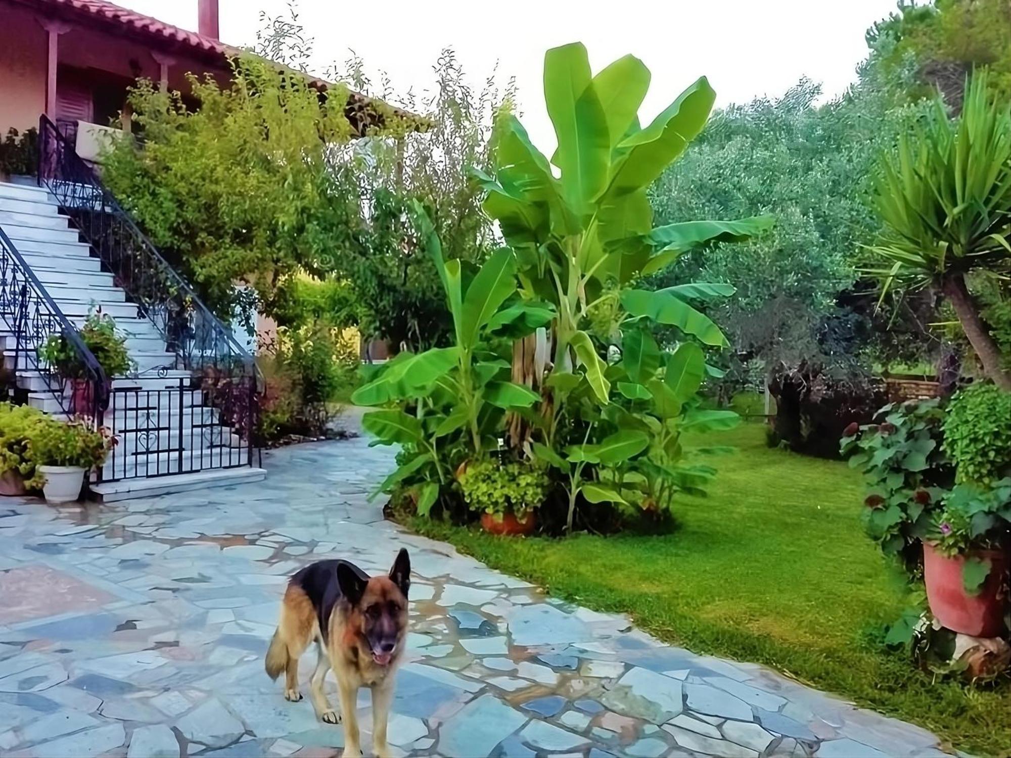 Cottage House,With Big Garden & Lawn Amaliada Exterior foto